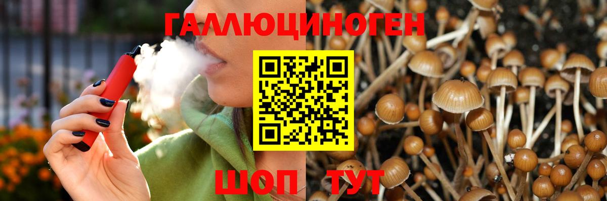Псилоцибиновые грибы Psilocybe Сердобск